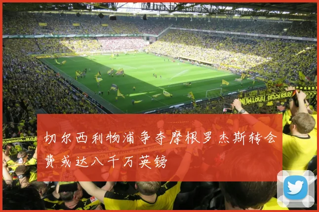 切尔西利物浦争夺摩根罗杰斯转会费或达八千万英镑